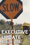 Executive_Update_bug_August_2018